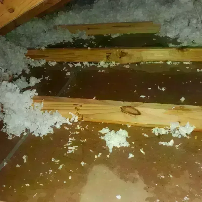 Attic Water Damage in Parshall, ND