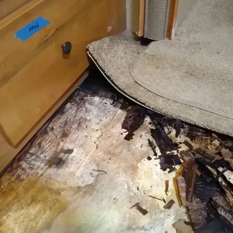 Best Wood Floor Water Damage Service in Parshall, ND